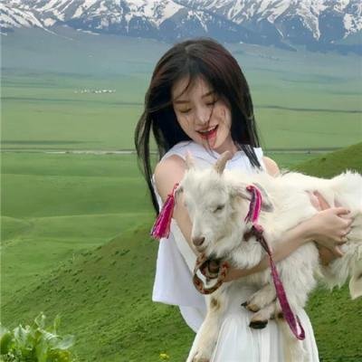 托托小英雄